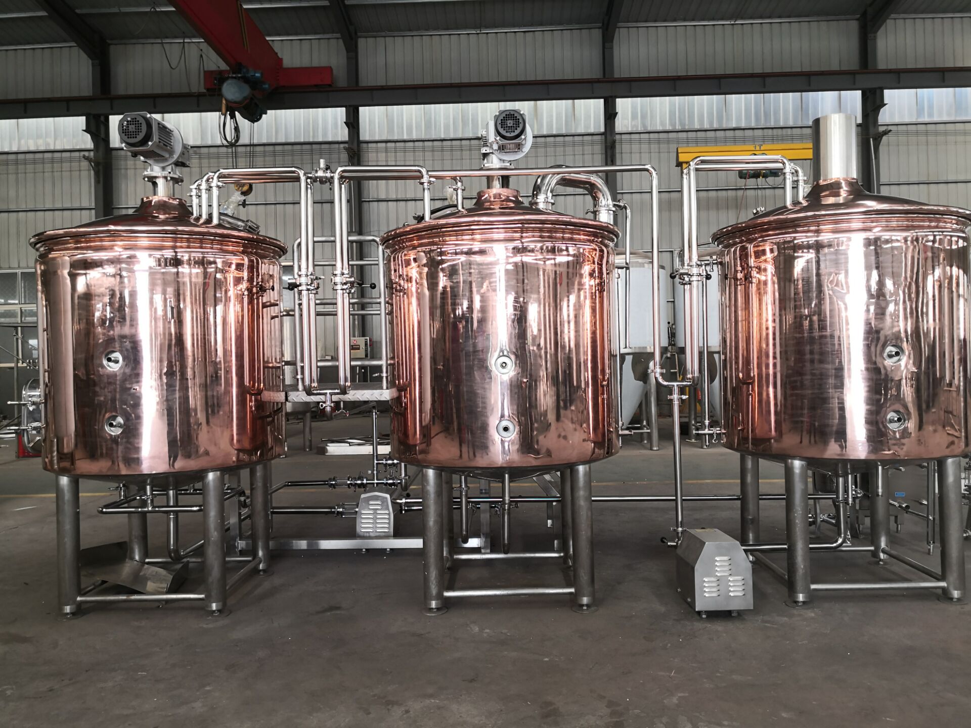 500L 800L hotel restaurant craft beer making equipment